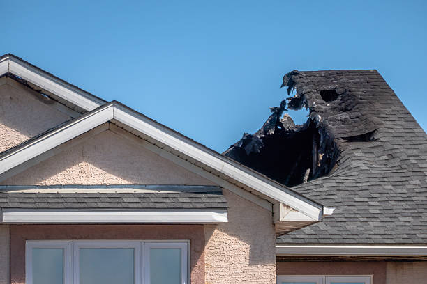 Licensed Fire Damage Removal service in Foley, MN - Fire Damage Biloxi